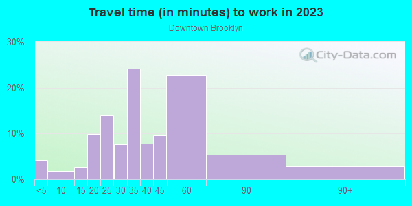 Commute time to work in Downtown Brooklyn in Brooklyn neighborhood in NY