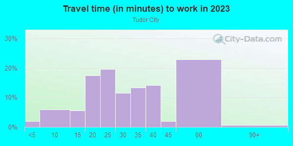 Commute time to work in Tudor City in New York neighborhood in NY