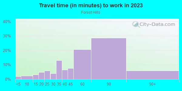 Commute time to work in Forest Hills in Forest Hills neighborhood in NY