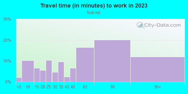 Commute time to work in Todt Hill in Staten Island neighborhood in NY
