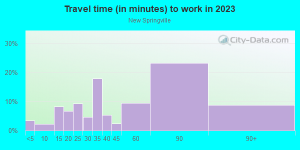 Commute time to work in New Springville in Staten Island neighborhood in NY
