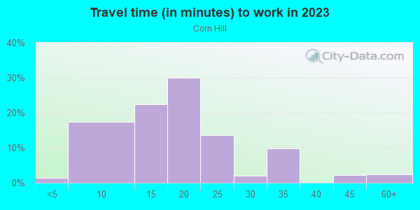 Commute time to work in Corn Hill in Rochester neighborhood in NY