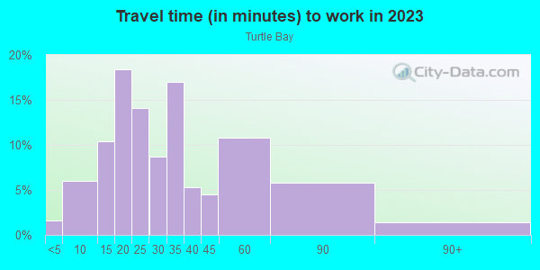 Commute time to work in Turtle Bay in New York neighborhood in NY