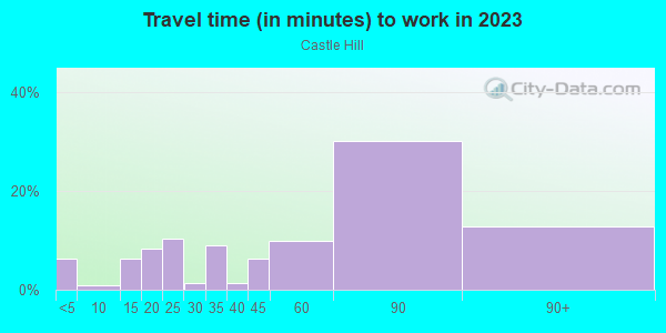 Commute time to work in Castle Hill in Bronx neighborhood in NY