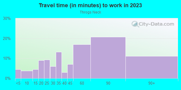 Commute time to work in Throgs Neck in Bronx neighborhood in NY
