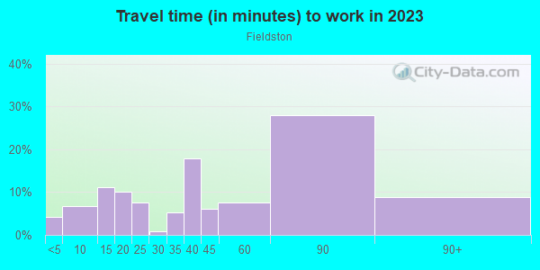 Commute time to work in Fieldston in Bronx neighborhood in NY
