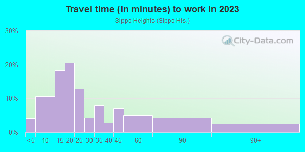 Commute time to work in Sippo Heights in Massillon neighborhood in OH