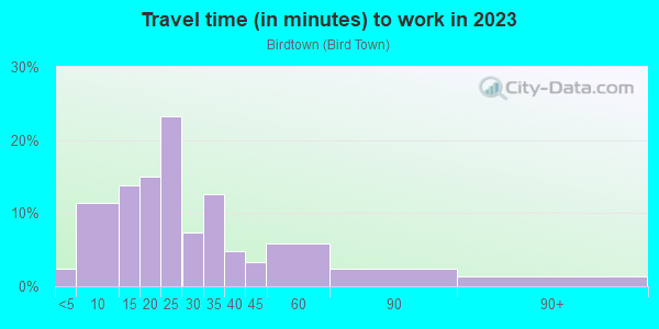 Commute time to work in Birdtown in Lakewood neighborhood in OH