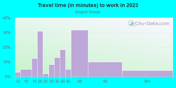 Commute time to work in English Woods in Cincinnati neighborhood in OH