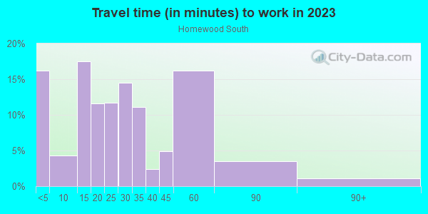 Commute time to work in Homewood South in Pittsburgh neighborhood in PA