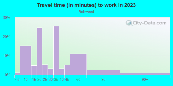 Commute time to work in Betzwood in Norristown neighborhood in PA