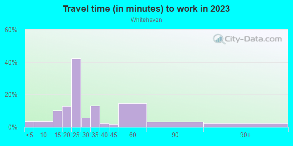 Commute time to work in Whitehaven in Memphis neighborhood in TN