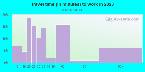 Commute time to work in Little Forest Hills in Dallas neighborhood in TX