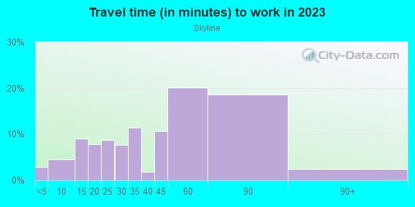 Commute time to work in Skyline in Mesquite neighborhood in TX