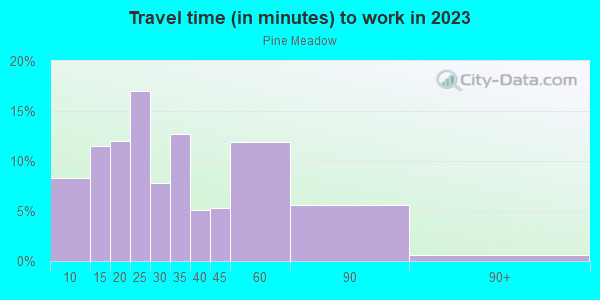 Commute time to work in Pine Meadow in Missouri City neighborhood in TX