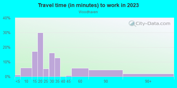 Commute time to work in Woodhaven in Irving neighborhood in TX
