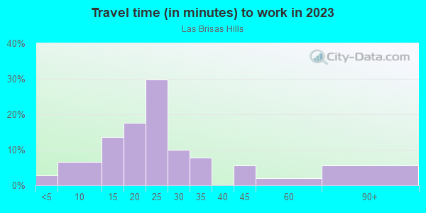 Commute time to work in Las Brisas Hills in Irving neighborhood in TX