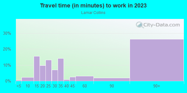 Commute time to work in Lamar Collins in Arlington neighborhood in TX