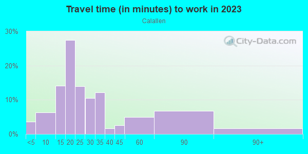 Commute time to work in Calallen in Corpus Christi neighborhood in TX