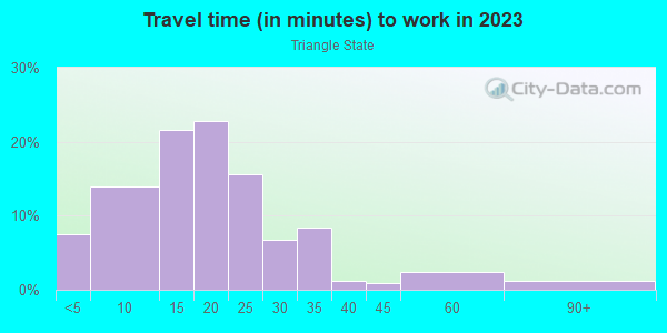 Commute time to work in Triangle State in Austin neighborhood in TX