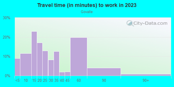 Commute time to work in Govalle in Austin neighborhood in TX