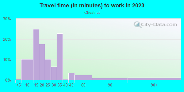 Commute time to work in Chestnut in Austin neighborhood in TX