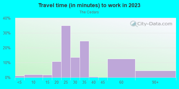 Commute time to work in The Cedars in Dallas neighborhood in TX