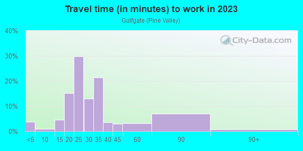 Commute time to work in Gulfgate in Houston neighborhood in TX
