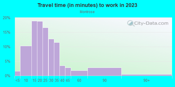 Commute time to work in Montrose in Houston neighborhood in TX