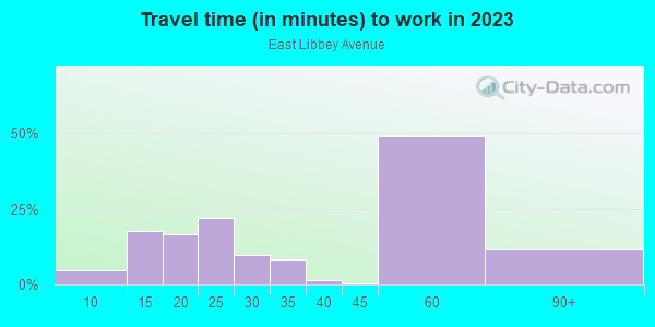 Commute time to work in East Libbey Avenue in Fort Worth neighborhood in TX