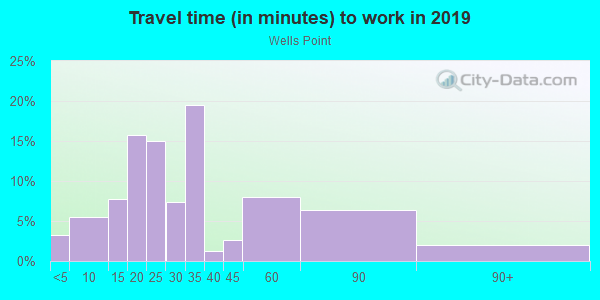 Commute time to work in Wells Point in Pflugerville neighborhood in TX