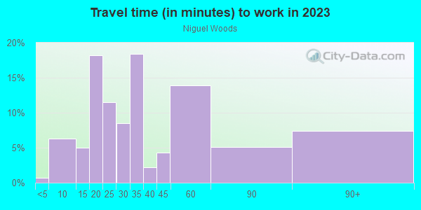 Commute time to work in Niguel Woods in Laguna Niguel neighborhood in CA