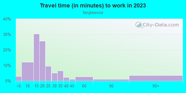 Commute time to work in Tanglewood in Dallas neighborhood in TX