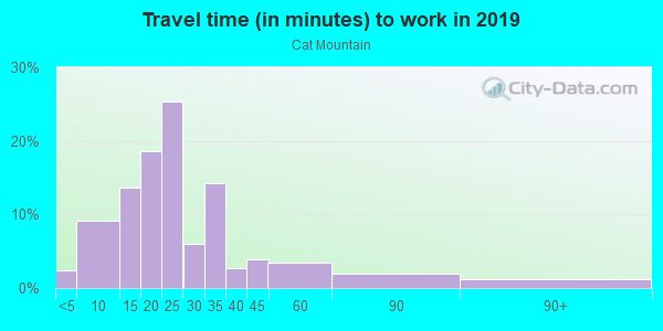 Commute time to work in Cat Mountain in Austin neighborhood in TX