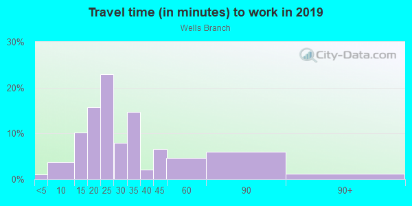 Commute time to work in Wells Branch in Austin neighborhood in TX