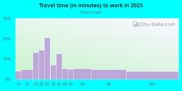 Commute time to work in Fossil Creek in Fort Worth neighborhood in TX