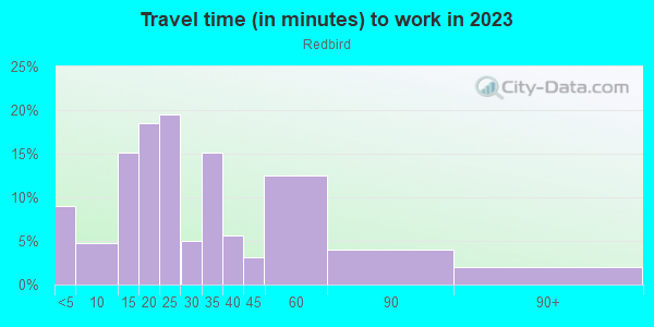 Commute time to work in Redbird in Dallas neighborhood in TX