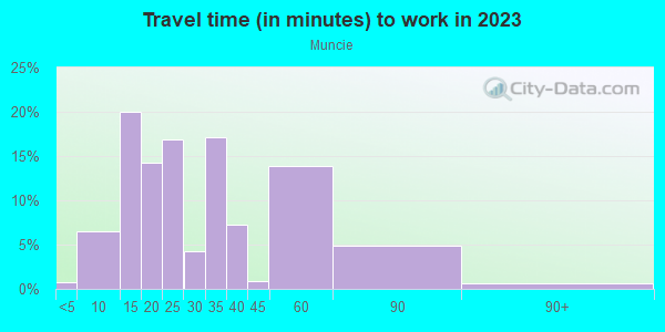 Commute time to work in Muncie in Dallas neighborhood in TX