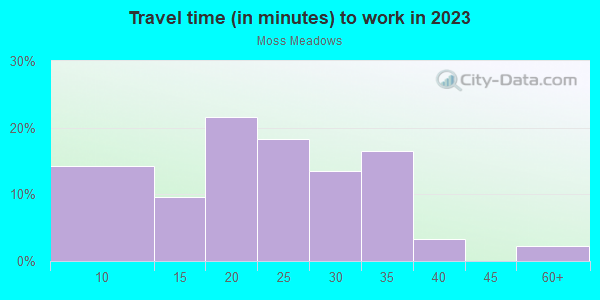 Commute time to work in Moss Meadows in Dallas neighborhood in TX