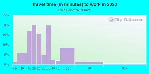Commute time to work in Puett Commercial Tract in Round Rock neighborhood in TX