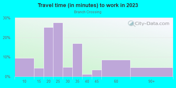 Commute time to work in Branch Crossing in Dallas neighborhood in TX