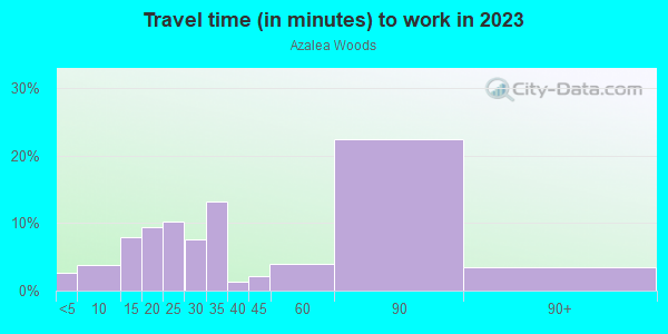 Commute time to work in Azalea Woods in Stafford neighborhood in VA
