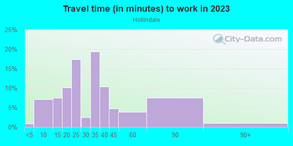 Commute time to work in Hollindale in Alexandria neighborhood in VA