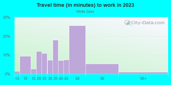 Commute time to work in White Oaks in Alexandria neighborhood in VA