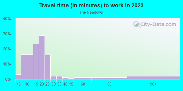 Commute time to work in The Meadows in Charlottesville neighborhood in VA