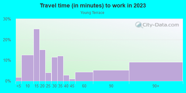 Commute time to work in Young Terrace in Norfolk neighborhood in VA