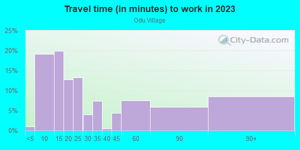 Commute time to work in Odu Village in Norfolk neighborhood in VA