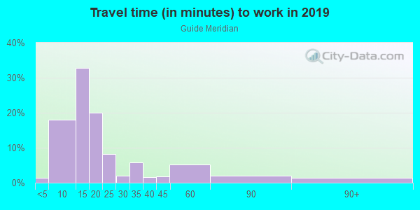 Commute time to work in Guide Meridian in Bellingham neighborhood in WA