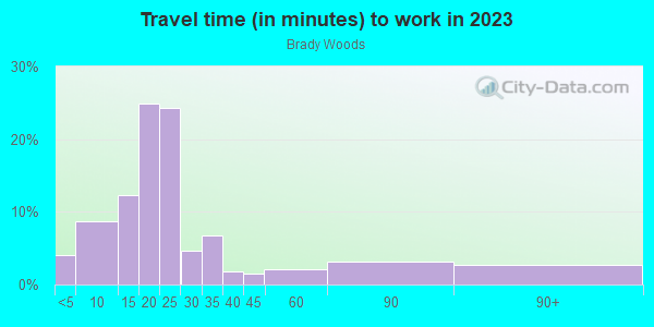 Commute time to work in Brady Woods in Camas neighborhood in WA