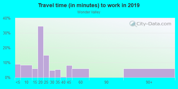 Commute time to work in Wonder Valley in Twentynine Palms neighborhood in CA